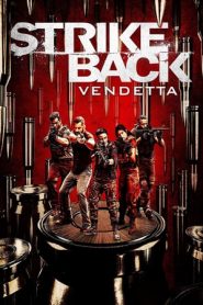 Strike Back – Senza regole: Stagione 8