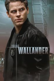 Il giovane Wallander