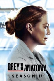 Grey’s Anatomy: Stagione 17