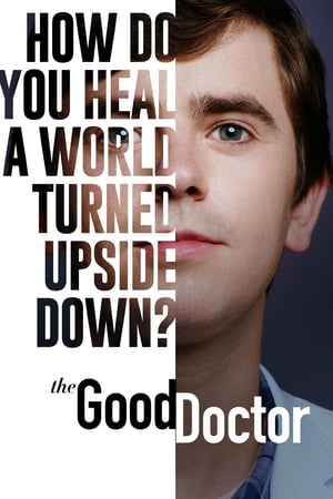 The Good Doctor: Stagione 4