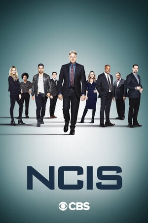 NCIS – Unità anticrimine: Stagione 18