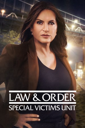 Law & Order – Unità vittime speciali: Stagione 22