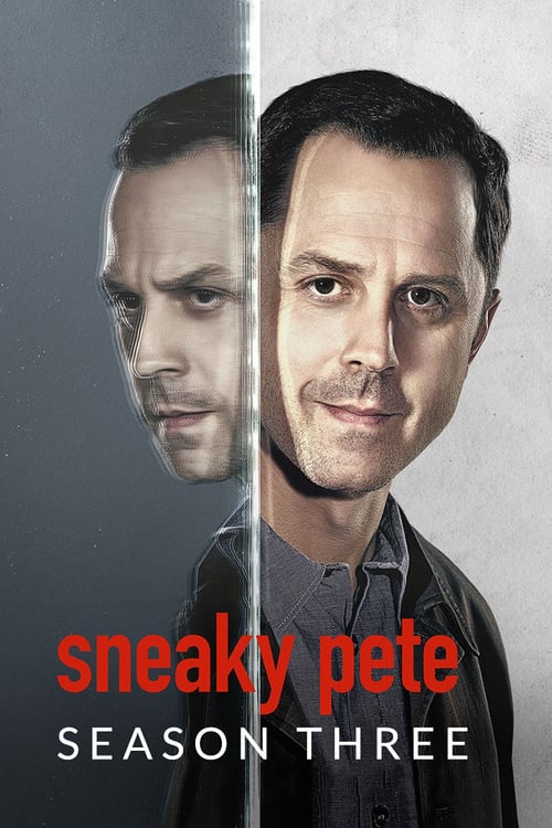 Sneaky Pete: Stagione 3