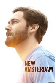 New Amsterdam: Stagione 3