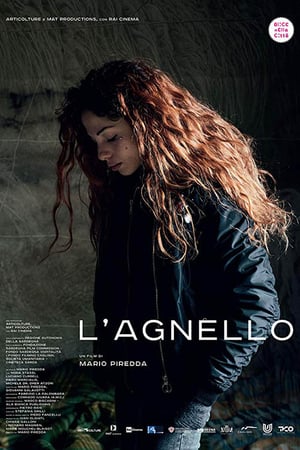 L’agnello