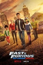 Fast & Furious: Piloti sotto copertura: Stagione 4