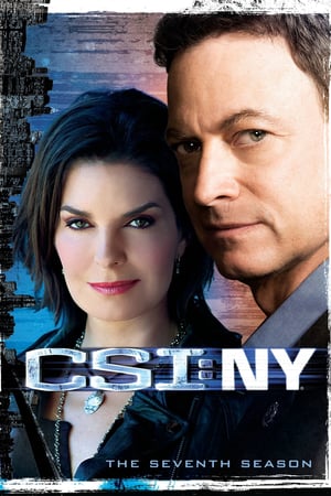 CSI: NY: Stagione 7