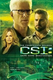 CSI – Scena del crimine: Stagione 14