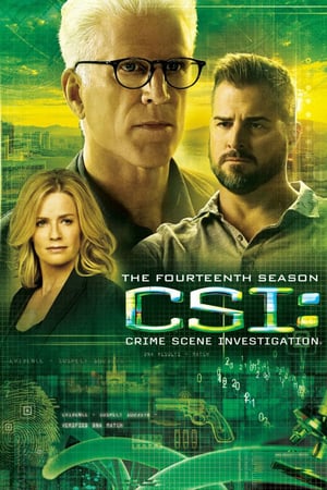 CSI – Scena del crimine: Stagione 14