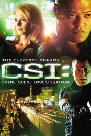 CSI – Scena del crimine: Stagione 11