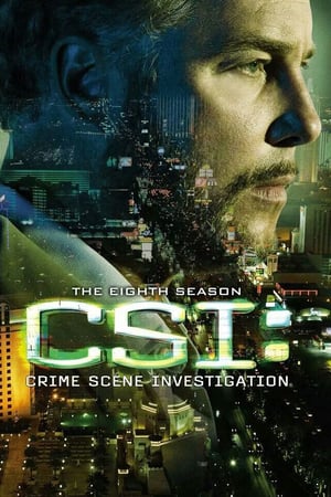 CSI – Scena del crimine: Stagione 8