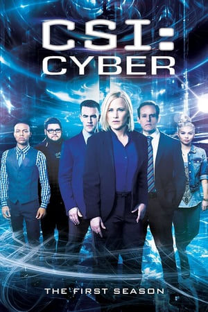 CSI: Cyber: Stagione 1