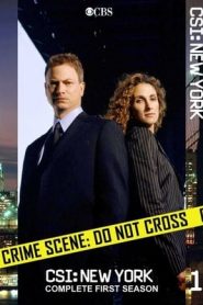 CSI: NY: Stagione 1