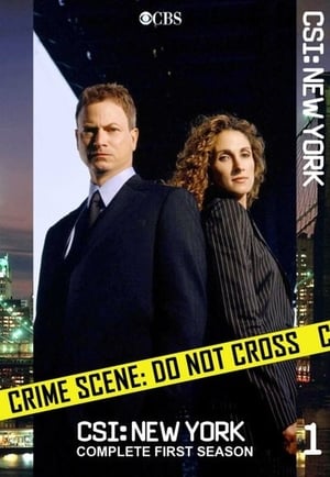 CSI: NY: Stagione 1