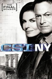 CSI: NY: Stagione 9