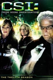 CSI – Scena del crimine: Stagione 12