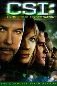 CSI – Scena del crimine: Stagione 6