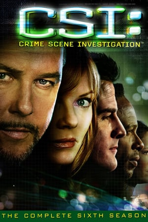 CSI – Scena del crimine: Stagione 6