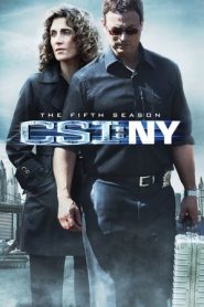 CSI: NY: Stagione 5