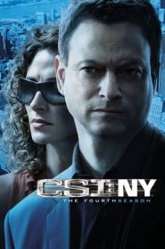 CSI: NY: Stagione 4