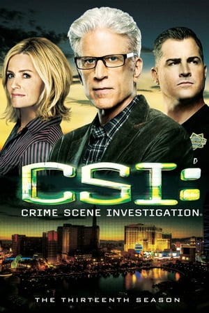 CSI – Scena del crimine: Stagione 13