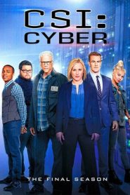 CSI: Cyber: Stagione 2