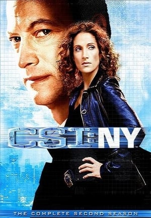 CSI: NY: Stagione 2