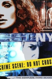 CSI: NY: Stagione 3