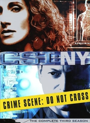 CSI: NY: Stagione 3