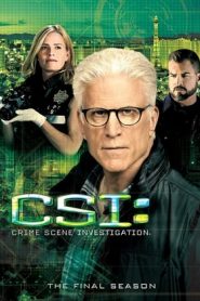 CSI – Scena del crimine: Stagione 15