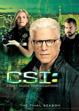 CSI – Scena del crimine: Stagione 15