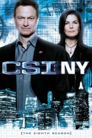 CSI: NY: Stagione 8