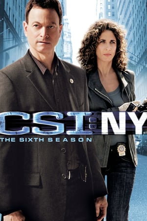 CSI: NY: Stagione 6