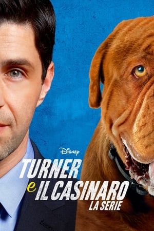 Turner e il casinaro – La serie