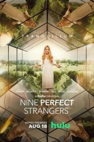 Nine Perfect Strangers: Stagione 1