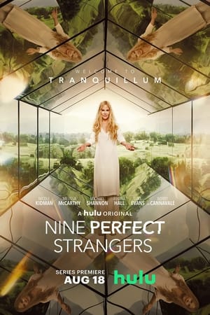 Nine Perfect Strangers: Stagione 1