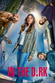 In the Dark: Stagione 3