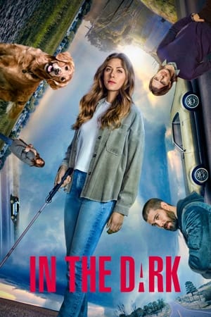 In the Dark: Stagione 3