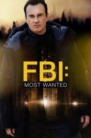 FBI: Most Wanted: Stagione 3