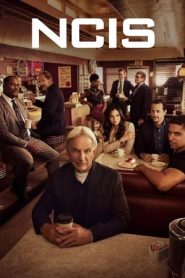 NCIS – Unità anticrimine: Stagione 19