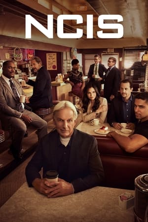 NCIS – Unità anticrimine: Stagione 19