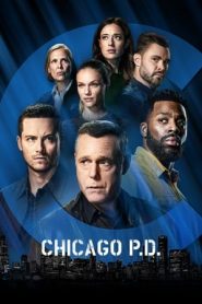 Chicago P.D.: Stagione 9