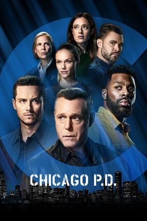 Chicago P.D.: Stagione 9