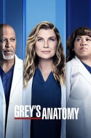 Grey’s Anatomy: Stagione 18