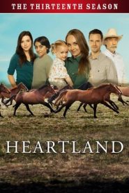 Heartland: Stagione 13