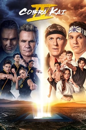 Cobra Kai: Stagione 4