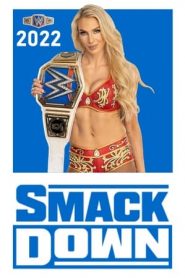 WWE SmackDown: Stagione 24