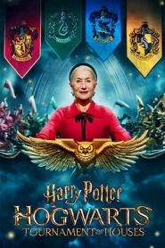 Harry Potter: Hogwarts Tournament of Houses: Stagione 1