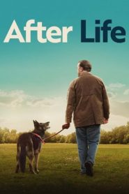 After Life: Stagione 3