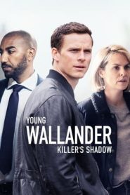 Il giovane Wallander: Stagione 2